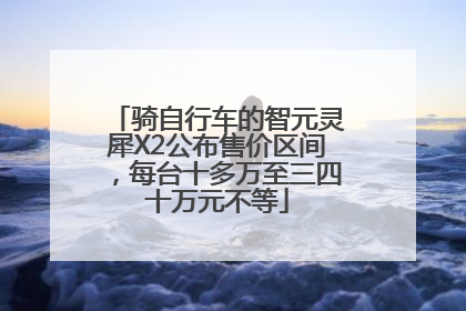 骑自行车的智元灵犀X2公布售价区间，每台十多万至三四十万元不等