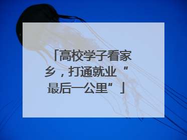 高校学子看家乡，打通就业“最后一公里”