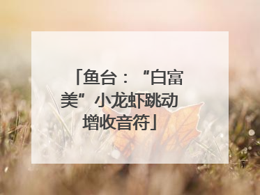 鱼台：“白富美”小龙虾跳动增收音符