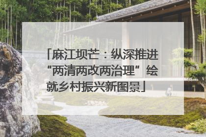 麻江坝芒：纵深推进“两清两改两治理”绘就乡村振兴新图景