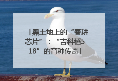 黑土地上的“春耕芯片”：“吉科稻518”的育种传奇