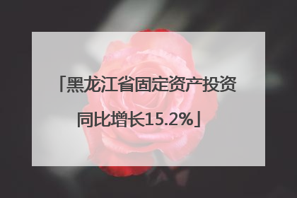 黑龙江省固定资产投资同比增长15.2%