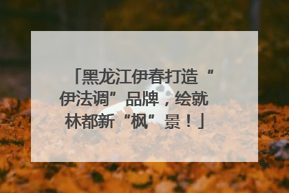 黑龙江伊春打造“伊法调”品牌，绘就林都新“枫”景！