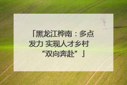 黑龙江桦南：多点发力 实现人才乡村“双向奔赴”