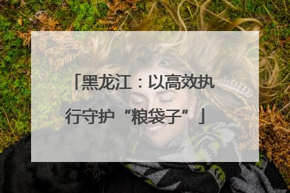 黑龙江：以高效执行守护“粮袋子”