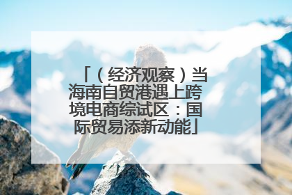 （经济观察）当海南自贸港遇上跨境电商综试区：国际贸易添新动能