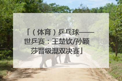 （体育）乒乓球——世乒赛：王楚钦/孙颖莎晋级混双决赛