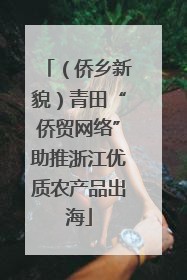 （侨乡新貌）青田“侨贸网络”助推浙江优质农产品出海