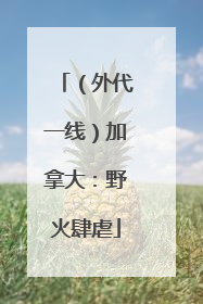 （外代一线）加拿大：野火肆虐