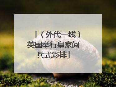 （外代一线）英国举行皇家阅兵式彩排