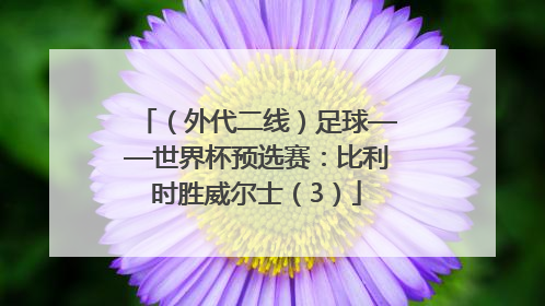 （外代二线）足球——世界杯预选赛：比利时胜威尔士（3）
