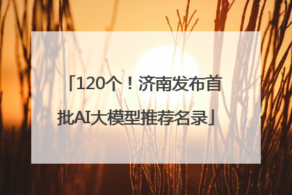 120个！济南发布首批AI大模型推荐名录