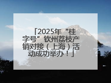 2025年“桂字号”钦州荔枝产销对接（上海）活动成功举办！