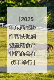 2025年东西部协作帮扶促消费暨糯食产业招商会在贞丰举行