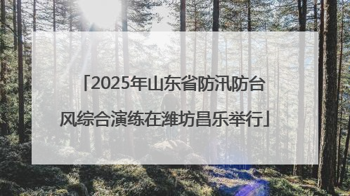 2025年山东省防汛防台风综合演练在潍坊昌乐举行