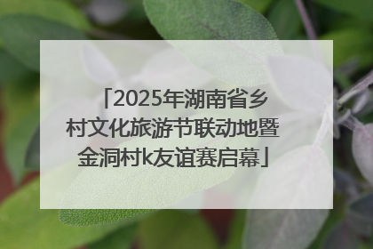 2025年湖南省乡村文化旅游节联动地暨金洞村k友谊赛启幕