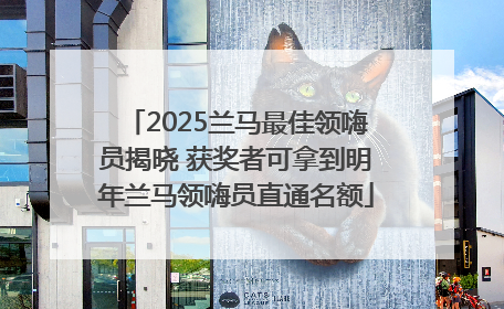 2025兰马最佳领嗨员揭晓 获奖者可拿到明年兰马领嗨员直通名额