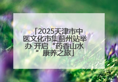 2025天津市中医文化市集蓟州站举办 开启“药香山水”康养之旅