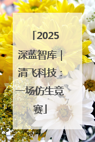 2025深蓝智库｜清飞科技：一场仿生竞赛