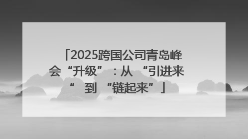 2025跨国公司青岛峰会“升级”：从 “引进来” 到 “链起来”