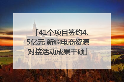 41个项目签约4.5亿元 新疆电商资源对接活动成果丰硕
