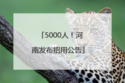 5000人！河南发布招用公告