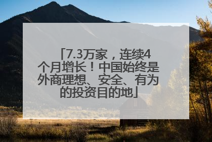 7.3万家，连续4个月增长！中国始终是外商理想、安全、有为的投资目的地