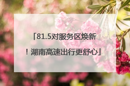 81.5对服务区焕新！湖南高速出行更舒心