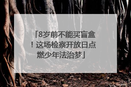 8岁前不能买盲盒！这场检察开放日点燃少年法治梦