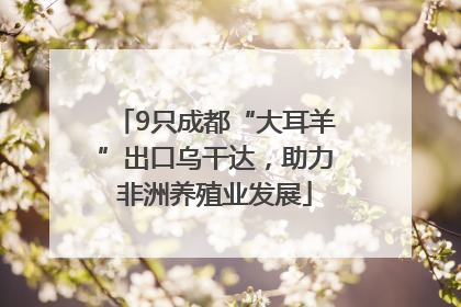 9只成都“大耳羊”出口乌干达，助力非洲养殖业发展