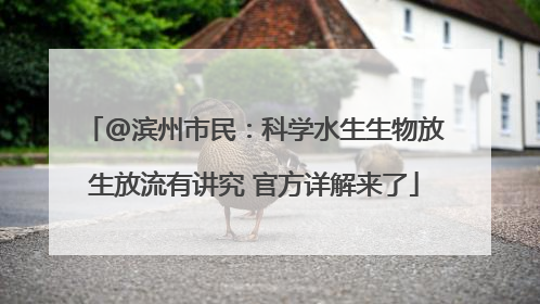 @滨州市民：科学水生生物放生放流有讲究 官方详解来了