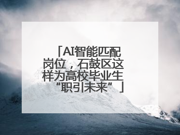 AI智能匹配岗位，石鼓区这样为高校毕业生“职引未来”