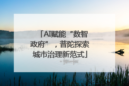 AI赋能“数智政府”，普陀探索城市治理新范式