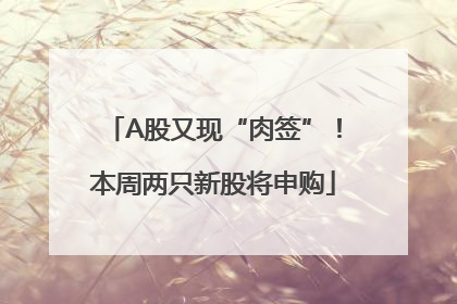 A股又现“肉签”！本周两只新股将申购