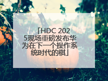 HDC 2025现场重磅发布华为在下一个操作系统时代的棋