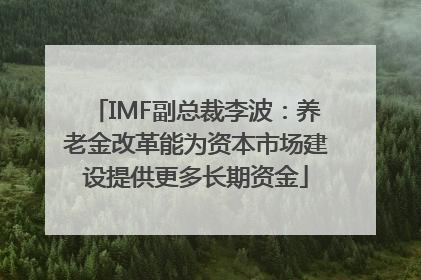 IMF副总裁李波：养老金改革能为资本市场建设提供更多长期资金